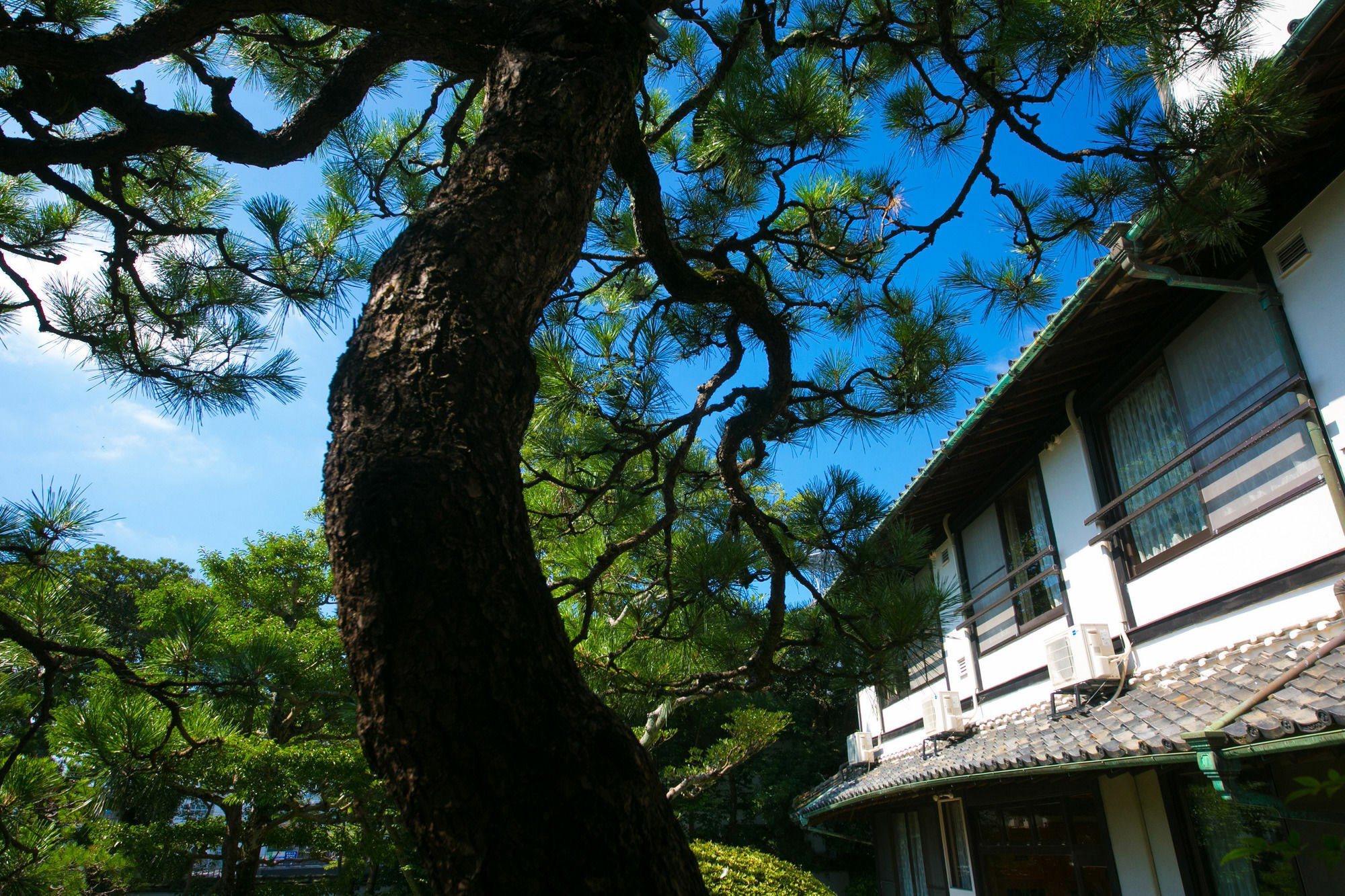 Ryokan Wataya Karatsu Eksteriør bilde